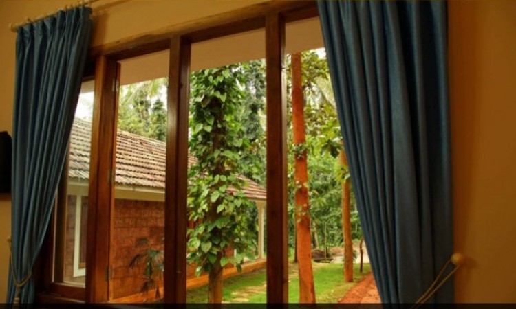 View from Orchid Club Cottage
