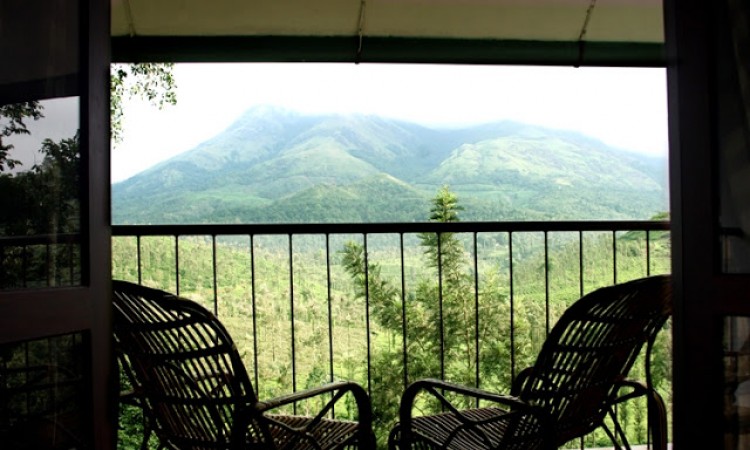 View from Balcony