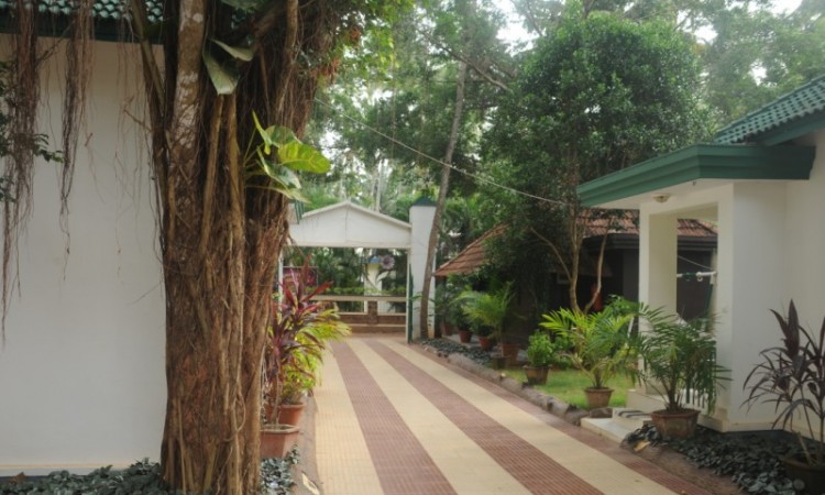 For eco-tourism