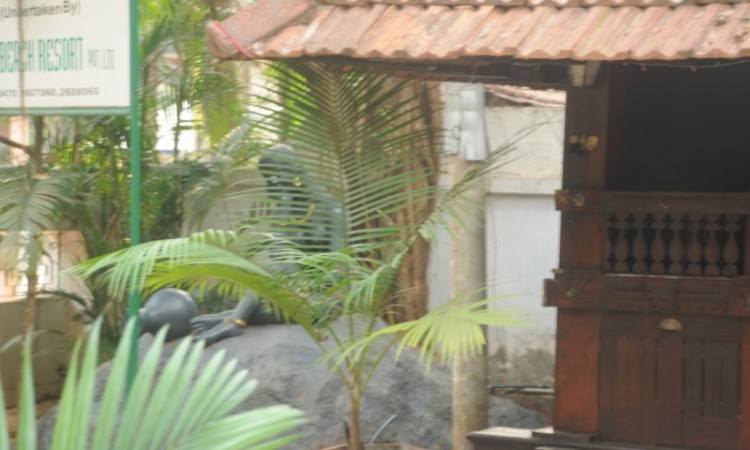 Greenery