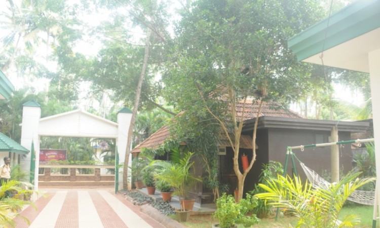 Lush Greenery
