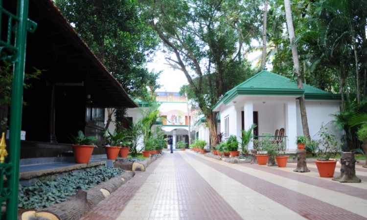 Pathway to the resort