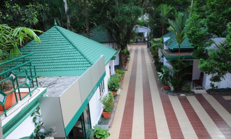 Top view of the Entrance