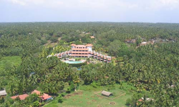 Aerial View Aerial View