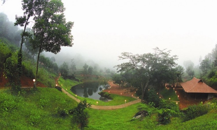 Natural Stream