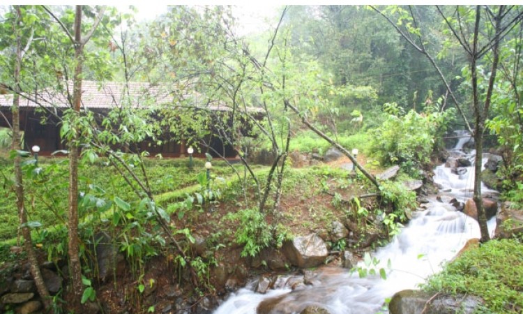 Restaurant amidst Nature