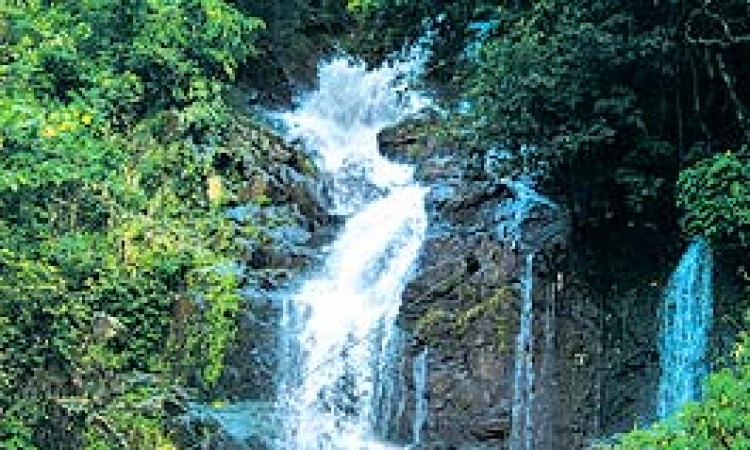 Water Falls Water Falls