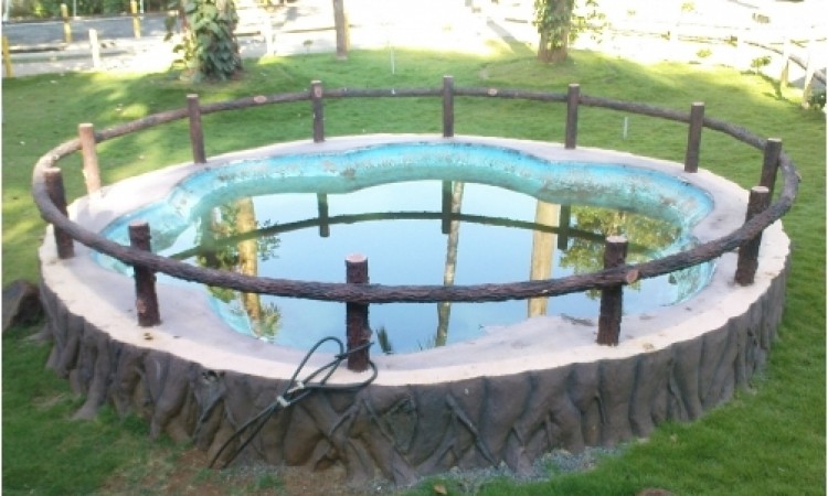 A small pool A small pool