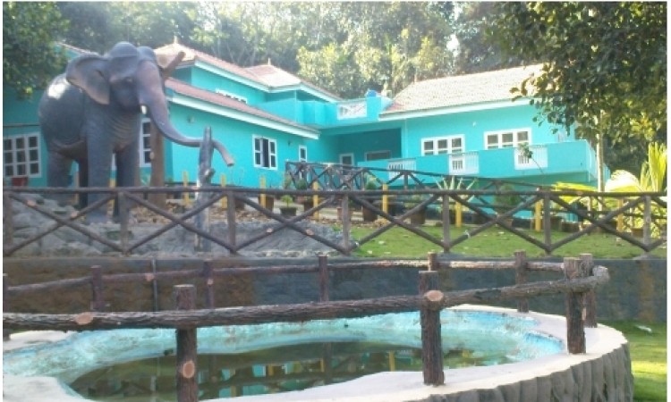 Children's Park Children's Park