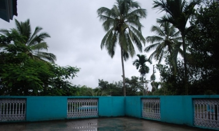 Terrace Terrace