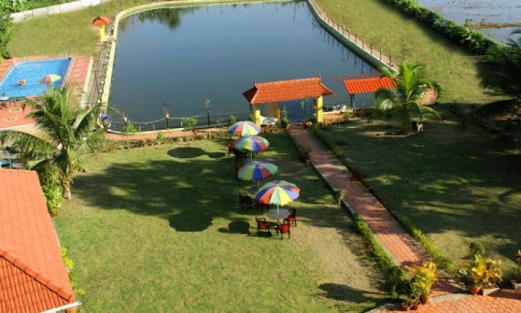 Ariel View Ariel View