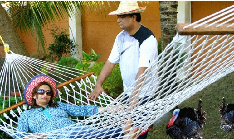 Hammock Hammock