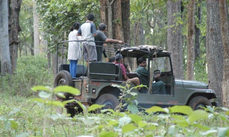 Jeep safari