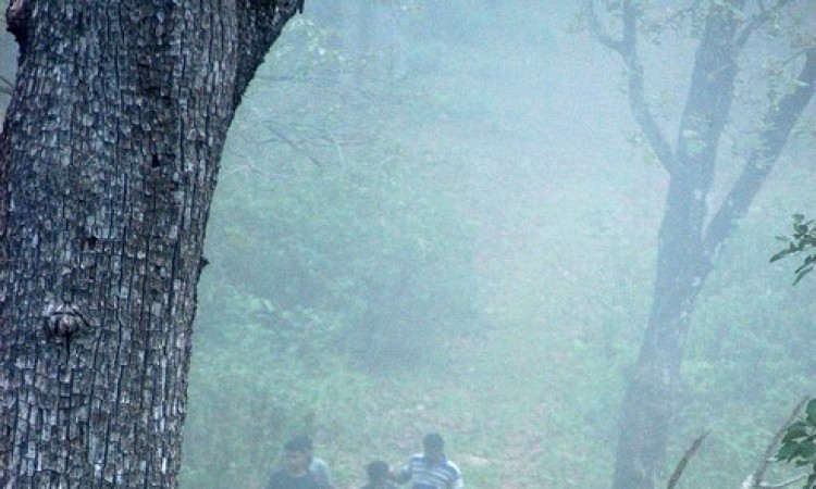 Trekking activity