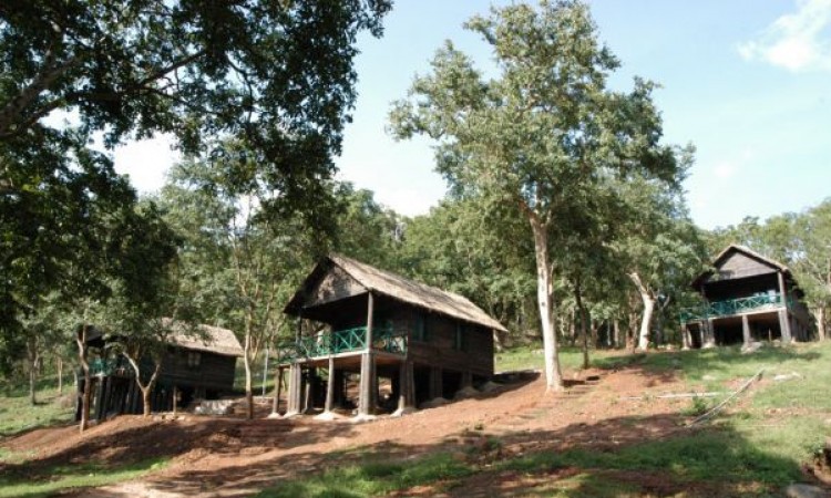 View of cottages