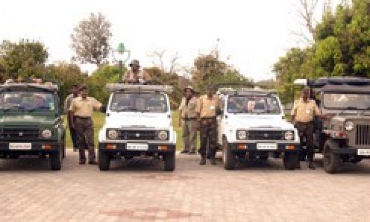 KS-safari