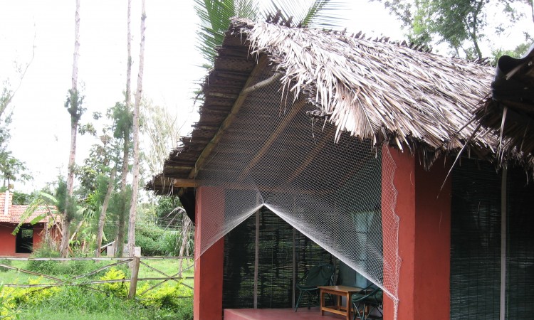 Tent Tent