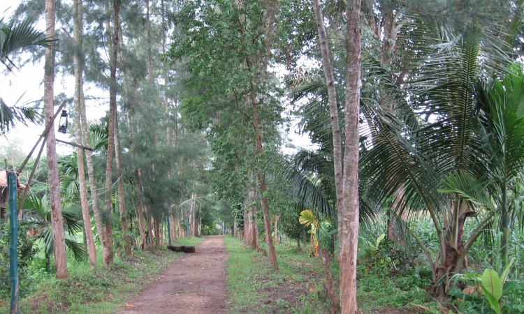 Way-to-tents Way-to-tents