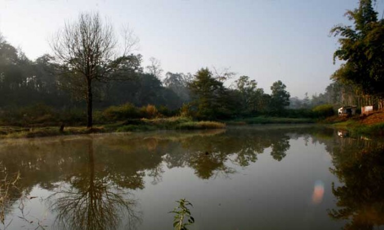 Lake surrounding the resort
