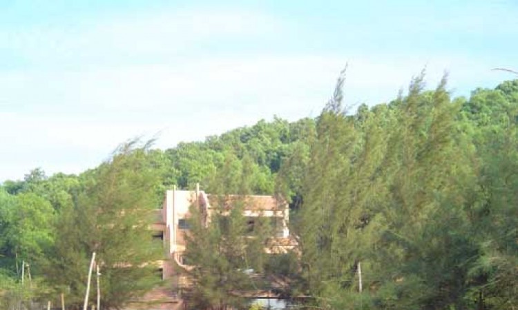 SaivishramStepCtg-NAC