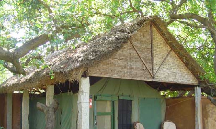 SaivishramTent