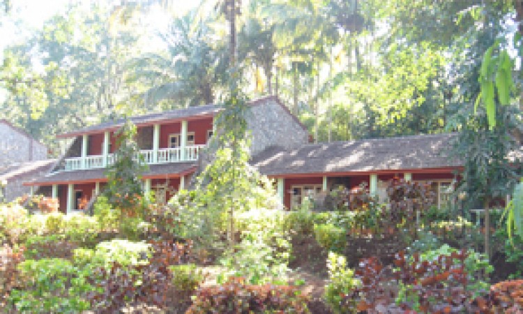 Cottage view