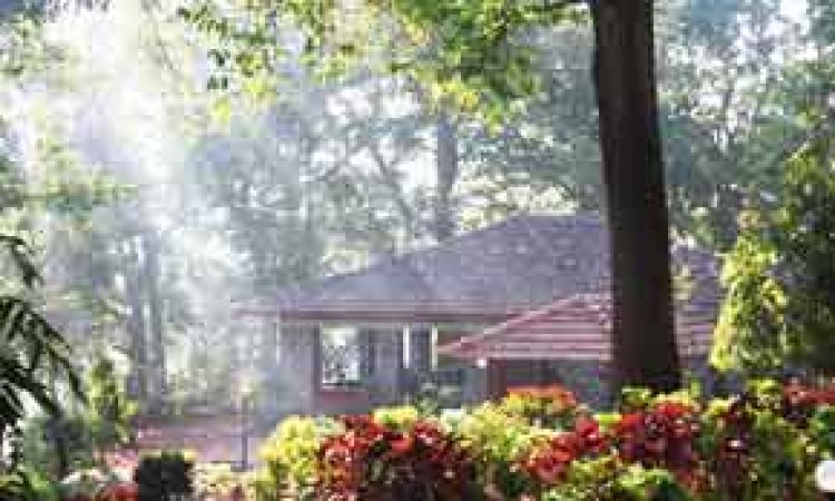 Cottage view1