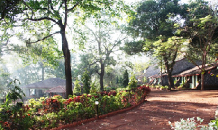 Garden area