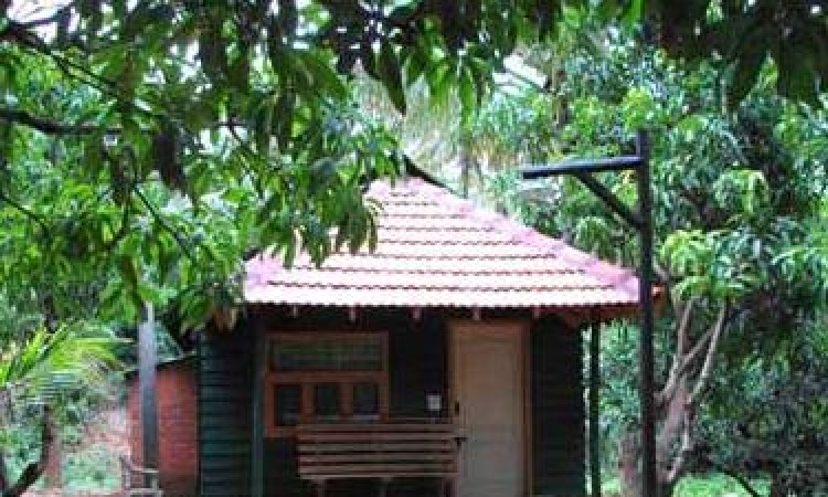 Cottage