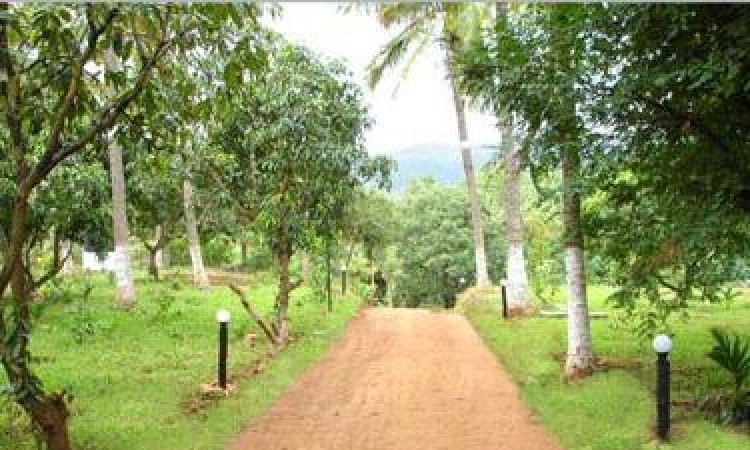 Plantation