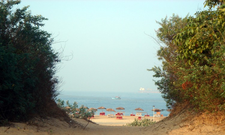 Beach View