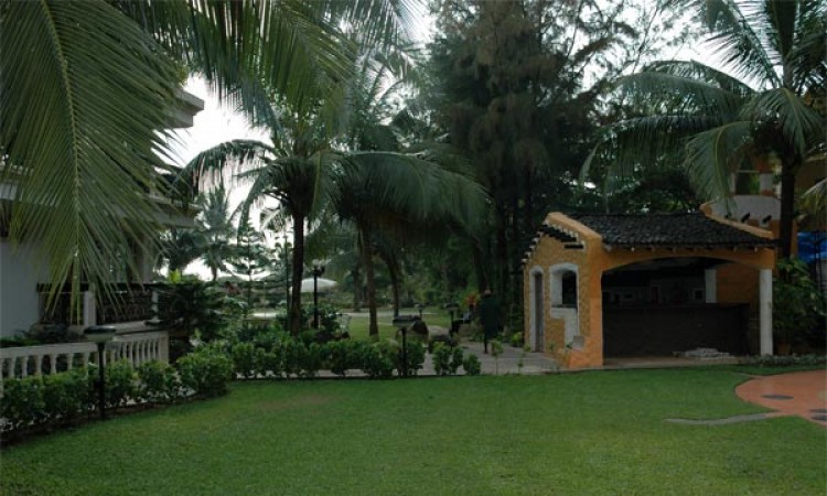 Garden View Garden View