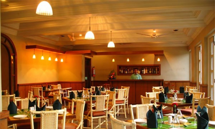 Coffe Shop Coffe Shop