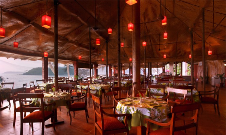 Coconut Groove Coconut Groove