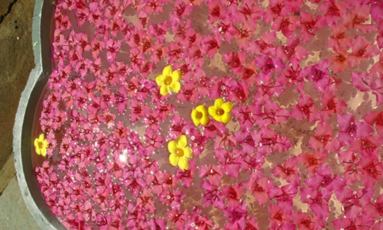 Flowers
