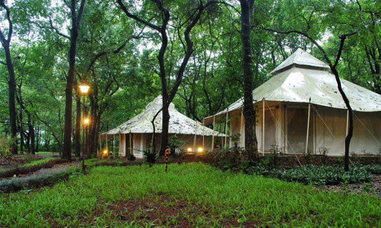 Tent Tent