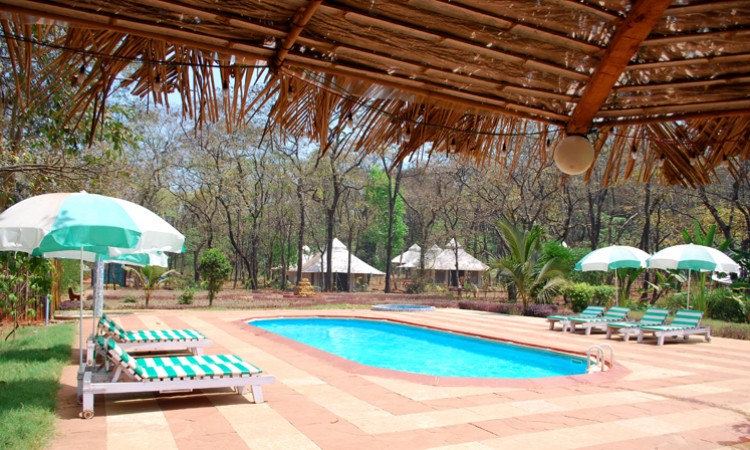 Swimming Pool Swimming Pool