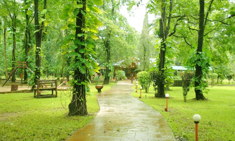 Greenery Greenery