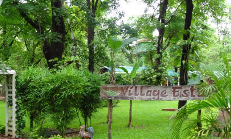 Entrance Entrance