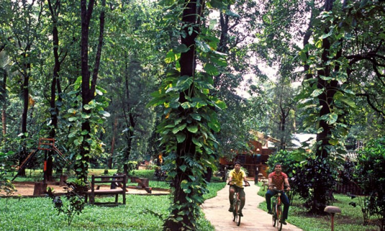 Cycling Cycling