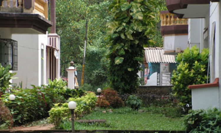 Greenery Greenery
