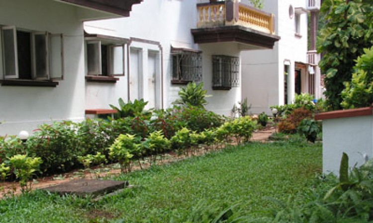 Garden Garden