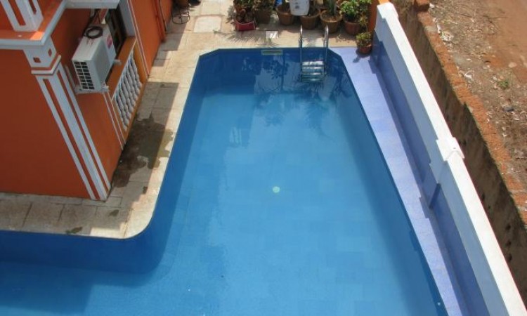 Seagull Swimming Pool Seagull Swimming Pool