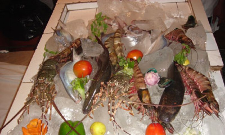 Sea food Sea food