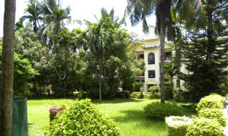 Lawn Lawn