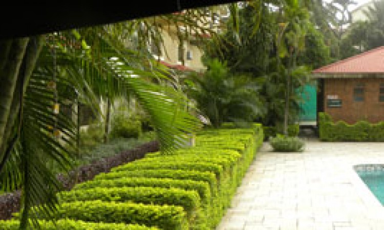 Garden Garden