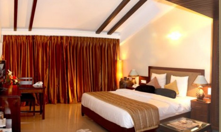 Room Room