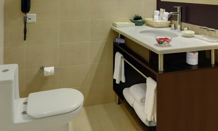 Suite: Bathroom Suite: Bathroom