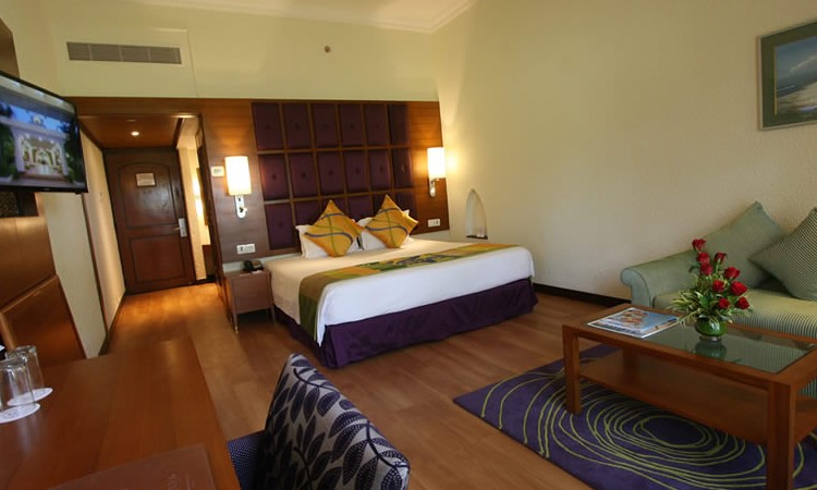 Standard Room Standard Room