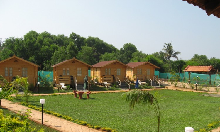 Panoramic view